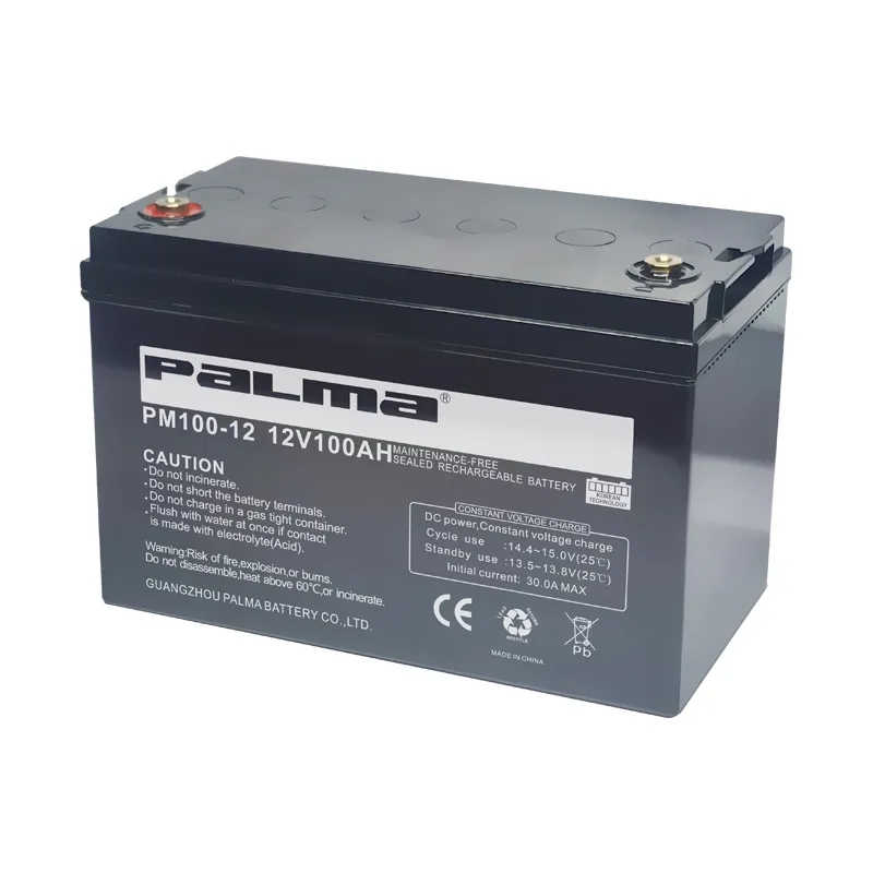 PM100-12 12V100AH